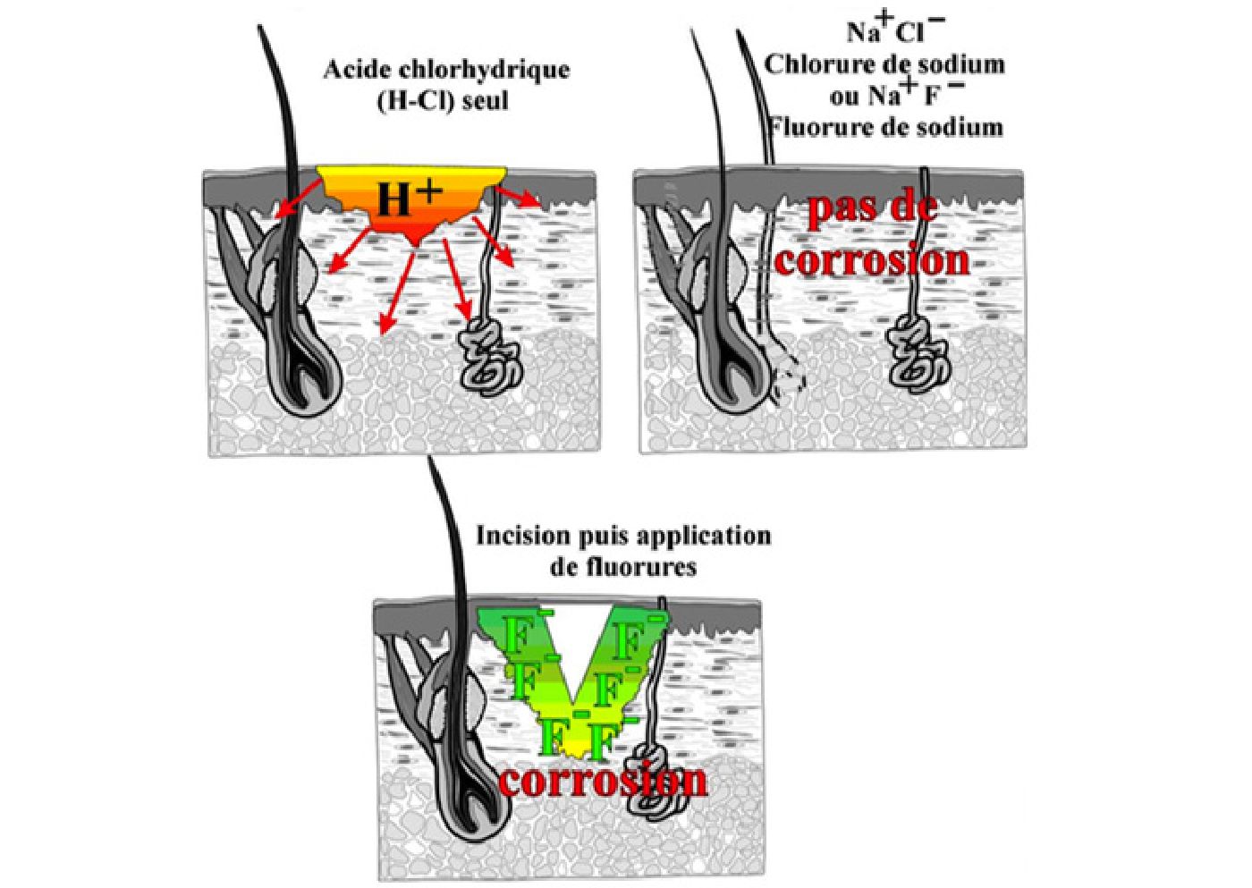 hexafluorine-1400x993