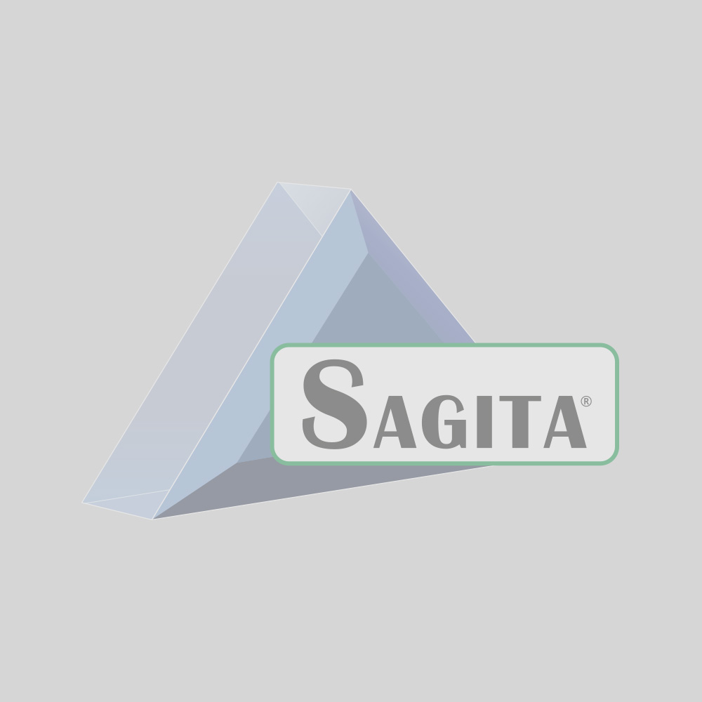 000001 logo sagita placeholder